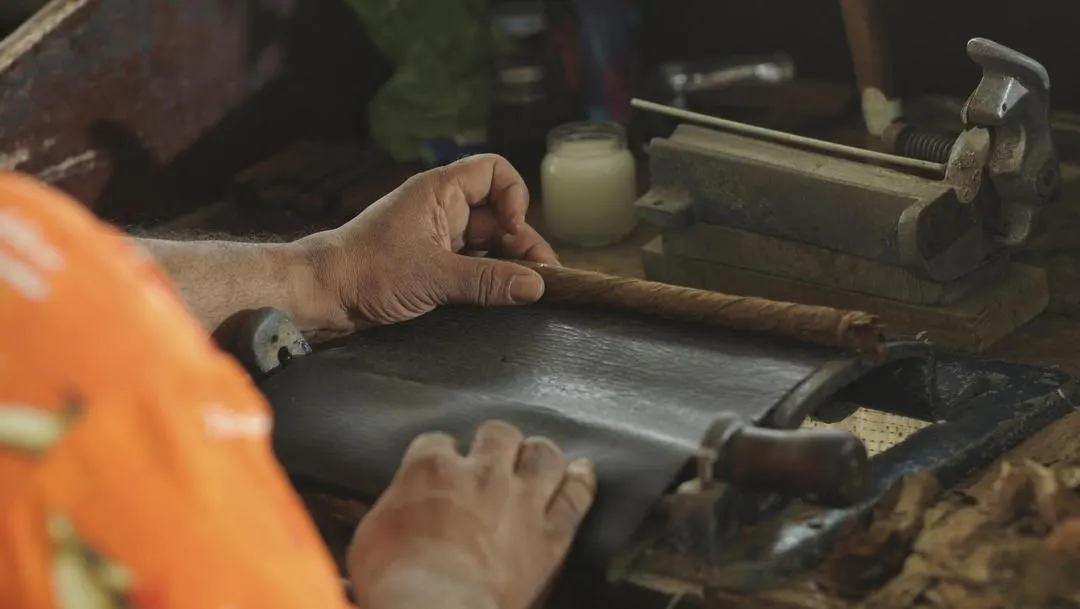 Exkursionen & Aktivitäten