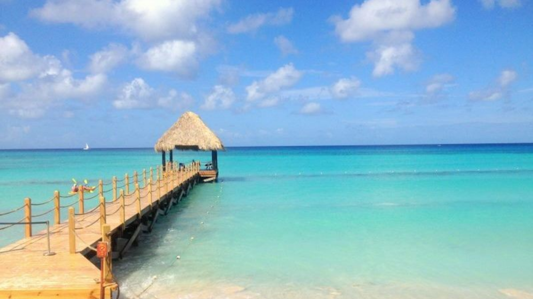 Kein Titel (486 x 365 px) (12)